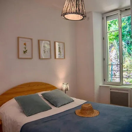 Les Dahlias Le Mont-Dore