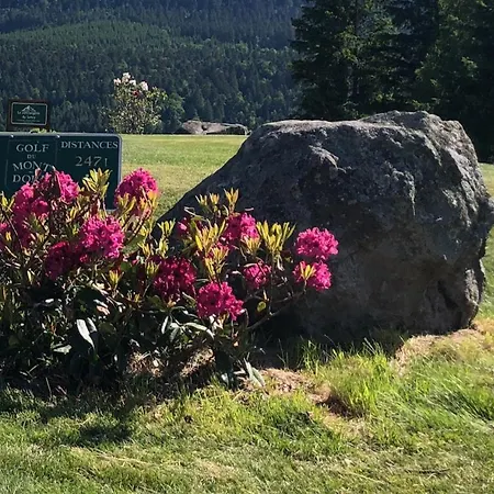 Les Dahlias * Le Mont-Dore